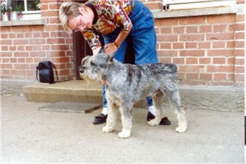 Quarzit vom H�hnerhof Ruit 
auf dem Bild ca. 12 Jahre alt
Bild: Walther Raspe