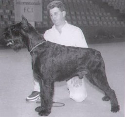 Friper de Pichera
Quelle: Anuario 2002 C.E.S.