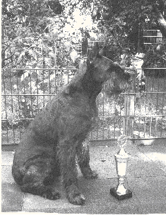 Kosma v.Bartenwetzer 2.8.1983 - 2.9.1996
Bild u. Info: B u. W. Marten