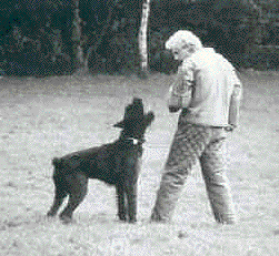 Marko's Bill 14.10.81 - 15.02.91
Bild + Info: Jenny Esch