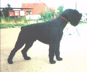 Varus v.Bartenwetzer