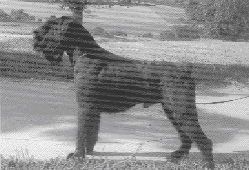 Hutsch v.d. Talmuehle