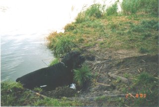 Ladino von Marten
Bild: Waltraud Marten