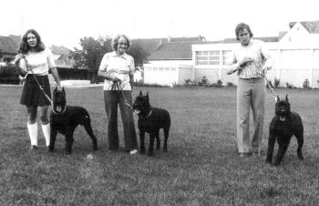 Asko, Arno und Axel von der Friedrichsburg   Bild+Info Fam. Machauer