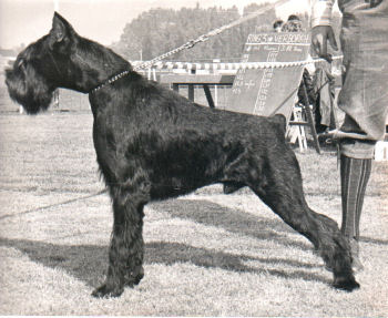 Bas van Achter de Hoven, Bild von 1982, Bild+Info Ulrike Steeg