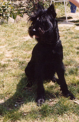 Carl-Heinz Corry vom Heuchelberg *30.04.1985, Bild+Info Cornelia Rommel-Hormes