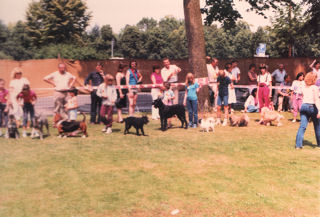 Coco vom Kraichgau   Bild: Familie M�ller, Sinsheim-Reihen