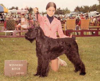 Enchantress von der Friedrichsburg   America Canadian Champion   Bild+Info Familie Machauer