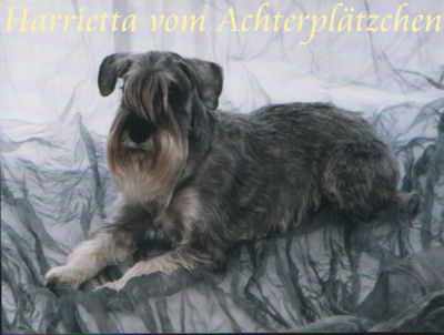 Harrietta vom Achterpl�tzchen, Multi-Ch., 1995-2011, Bild+Info W.u.E.Kadel