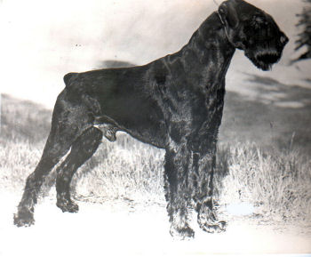 Lillemarks Kobuscu, Bild von 1976, Bild+Info Ulrike Steeg