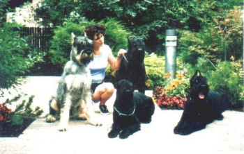 Ramses v.d.Havensstad, Assan v.d.Rois,Pearl v.d.Havenstad, Puccini v.d.Havenstad,Bild von 1993, Bild+Info Ulrike Steeg