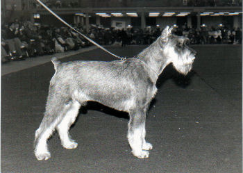 Skansens Park Avenue*1991,Bild v. 1993, Bild+Info Ulrike Steeg