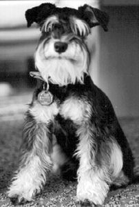 Ena, Bild+Info Elke Purtzel